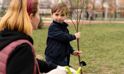 Développement d'îlots de fraîcheur dans les groupes scolaires