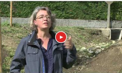 illustration Gestion alternative des eaux pluviales