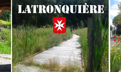 illustration Restauration d'une zone humide