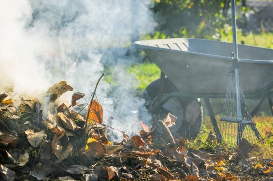 brulage de feuilles mortes