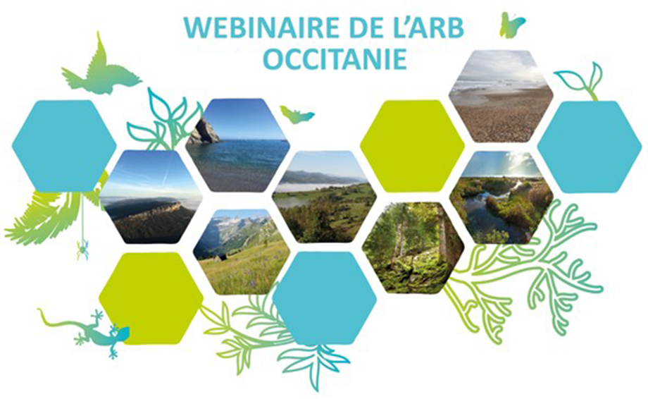 webinaire de l'arb occitanie - modèle