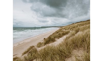 illustration Réalisation d'un cordon de second rang en appui au cordon dunaire
