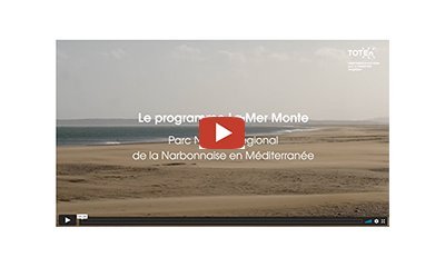 Le programme La Mer Monte : imaginer ensemble comment s'adapter 