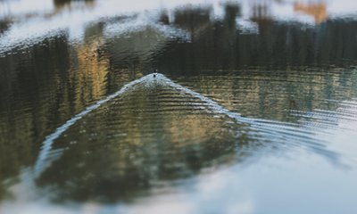 illustration Restauration écologique du cours d'eau la Baillaury