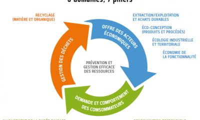 Se tourner vers le réemploi pour les travaux de construction et rénovation de bâtiments sur son territoire